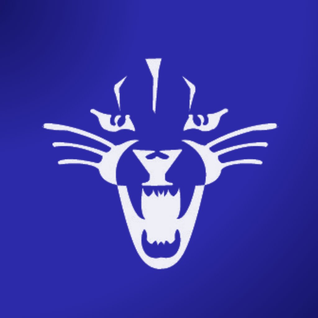 Deeprun Wildcats